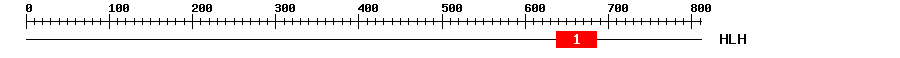 Signature Domain