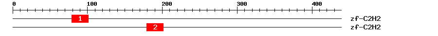 Signature Domain