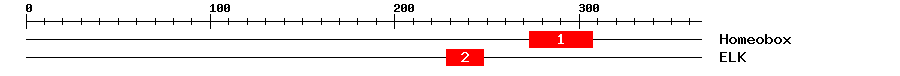 Signature Domain