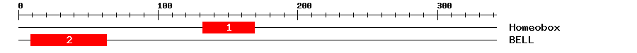 Signature Domain