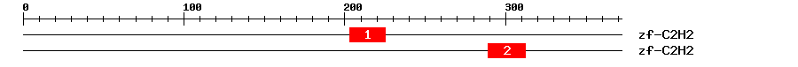 Signature Domain