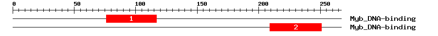 Signature Domain