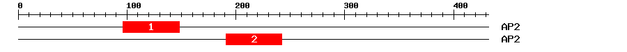 Signature Domain