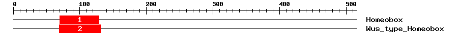 Signature Domain