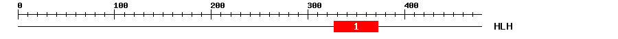 Signature Domain