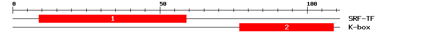 Signature Domain