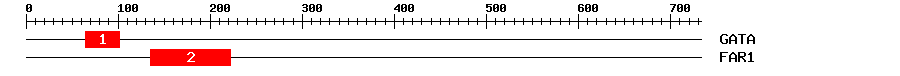 Signature Domain