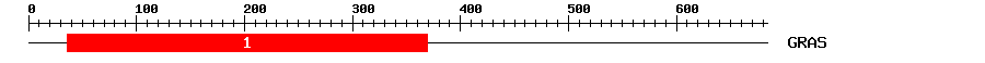Signature Domain