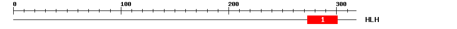 Signature Domain