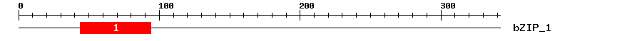 Signature Domain