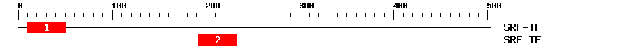 Signature Domain