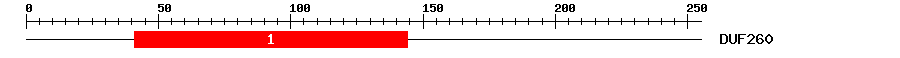 Signature Domain