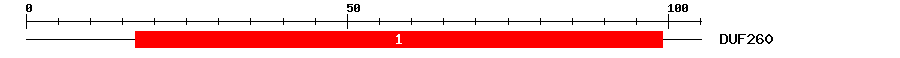 Signature Domain