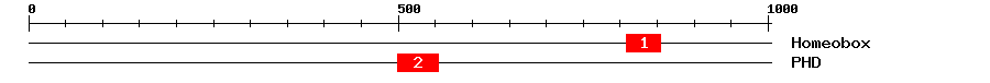 Signature Domain