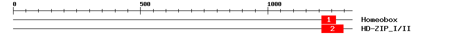 Signature Domain