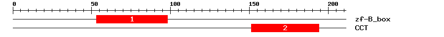 Signature Domain