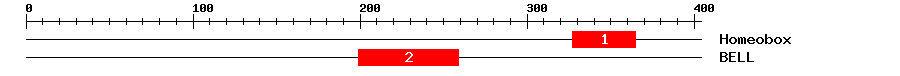Signature Domain