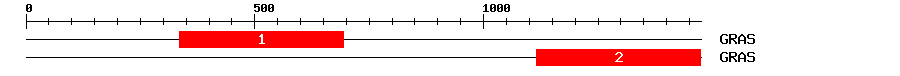 Signature Domain