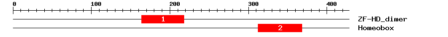 Signature Domain