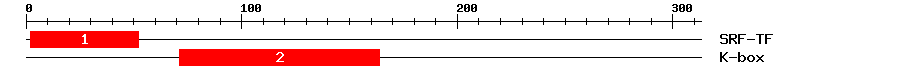 Signature Domain