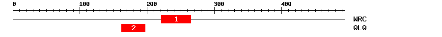 Signature Domain