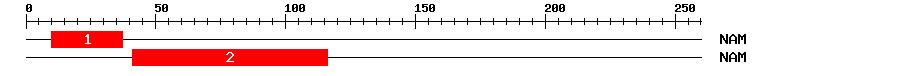 Signature Domain