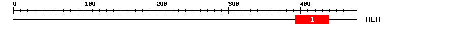 Signature Domain