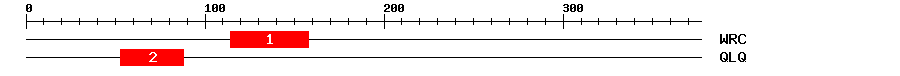 Signature Domain
