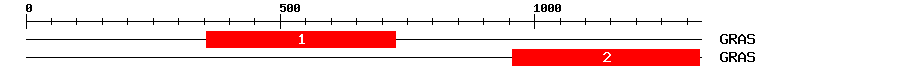 Signature Domain