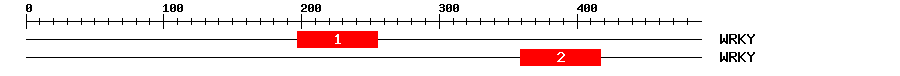 Signature Domain