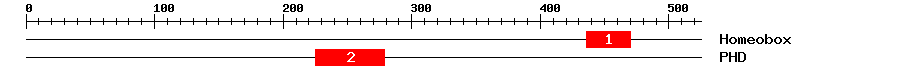 Signature Domain