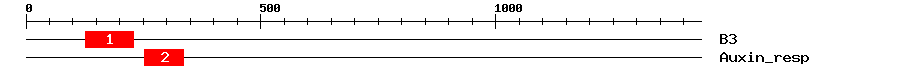 Signature Domain