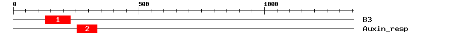 Signature Domain