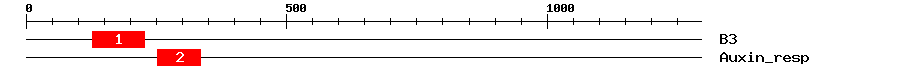 Signature Domain