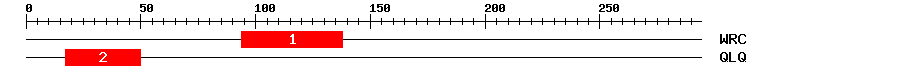 Signature Domain