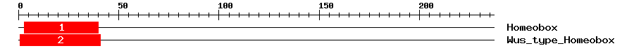 Signature Domain