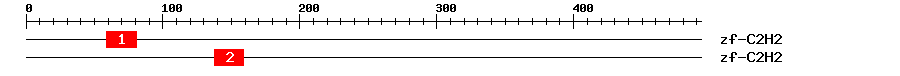 Signature Domain