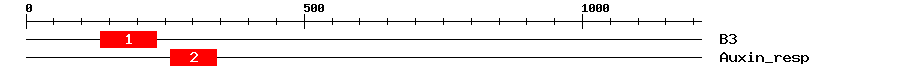 Signature Domain