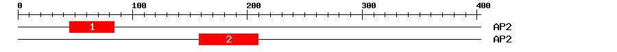Signature Domain