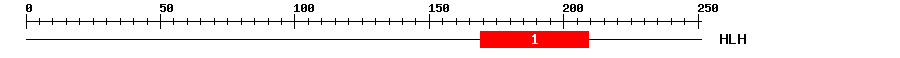 Signature Domain