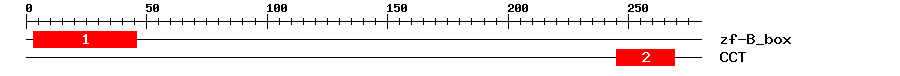 Signature Domain