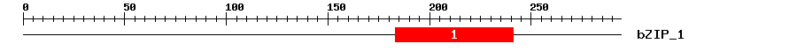 Signature Domain