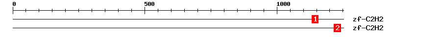 Signature Domain