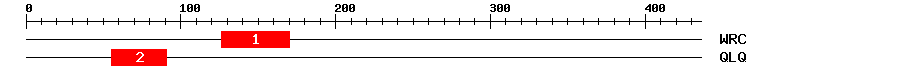 Signature Domain