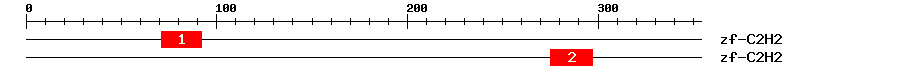 Signature Domain