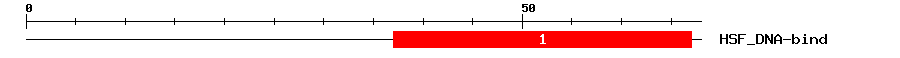 Signature Domain