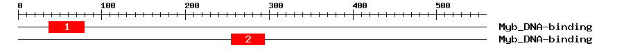 Signature Domain