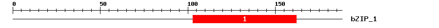 Signature Domain