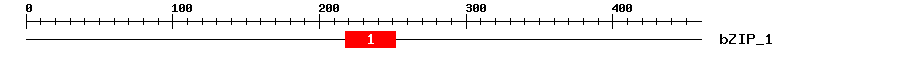 Signature Domain