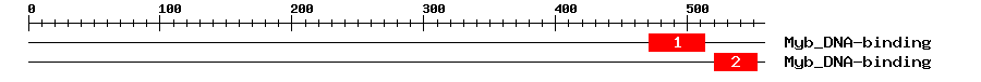 Signature Domain